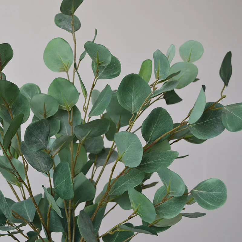 89Cm hojas de eucalipto planta - Photography Hotel reseña y precio
