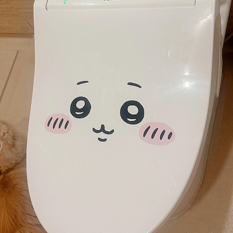 Pegatina de emoticonos Jiyi pa - Photography Interior reseña y precio